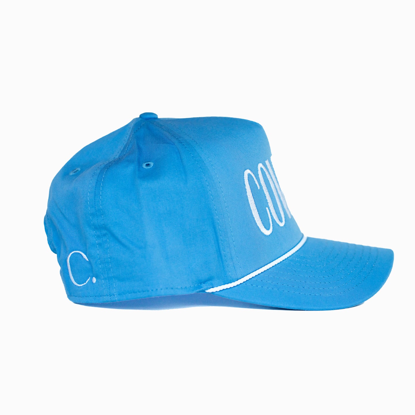 THE TESTIMONY TRUCKER - BABY BLUE