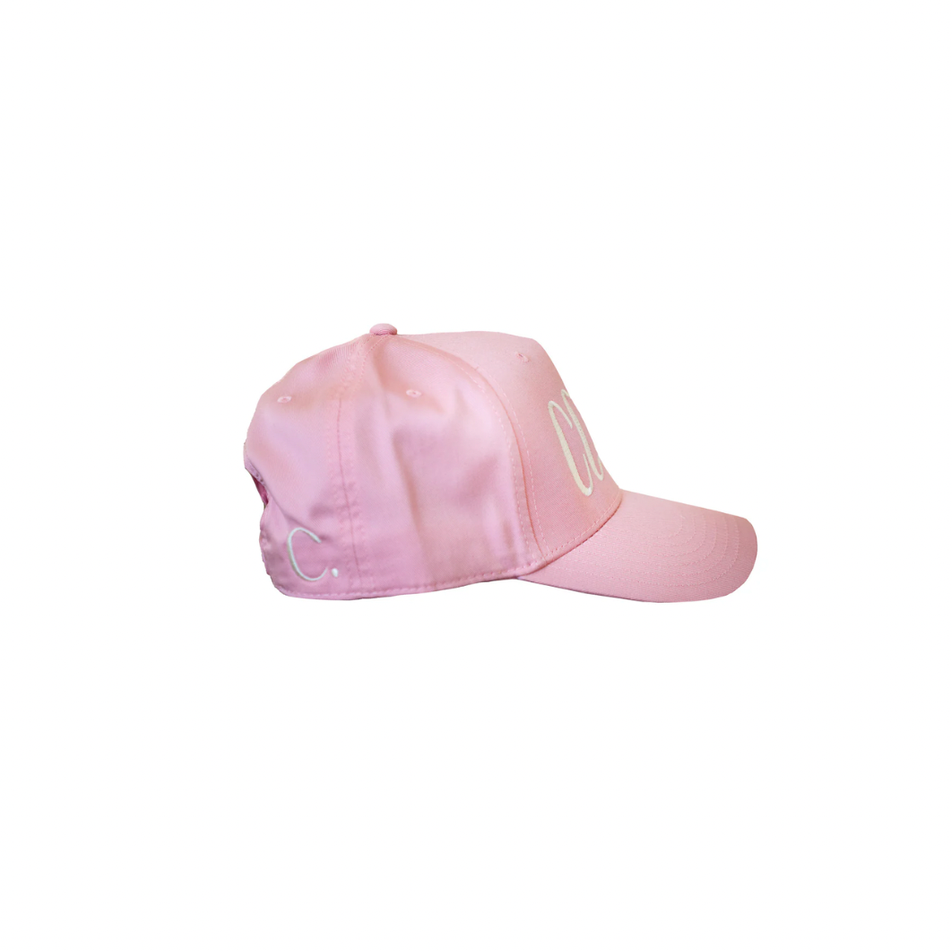 THE TESTIMONY TRUCKER - SOFT PINK HAT