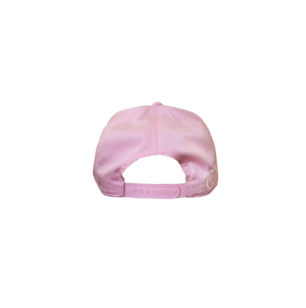 THE TESTIMONY TRUCKER - SOFT PINK HAT