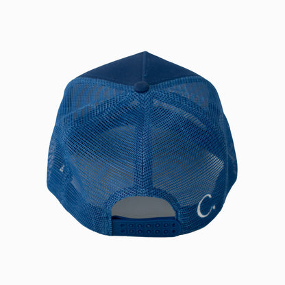THE TESTIMONY TRUCKER - ROYAL BLUE