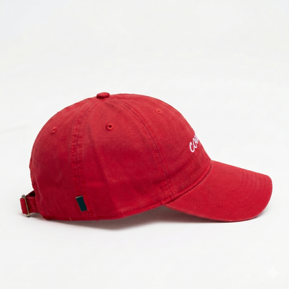 THE TESTIMONY TRUCKER - RED HAT