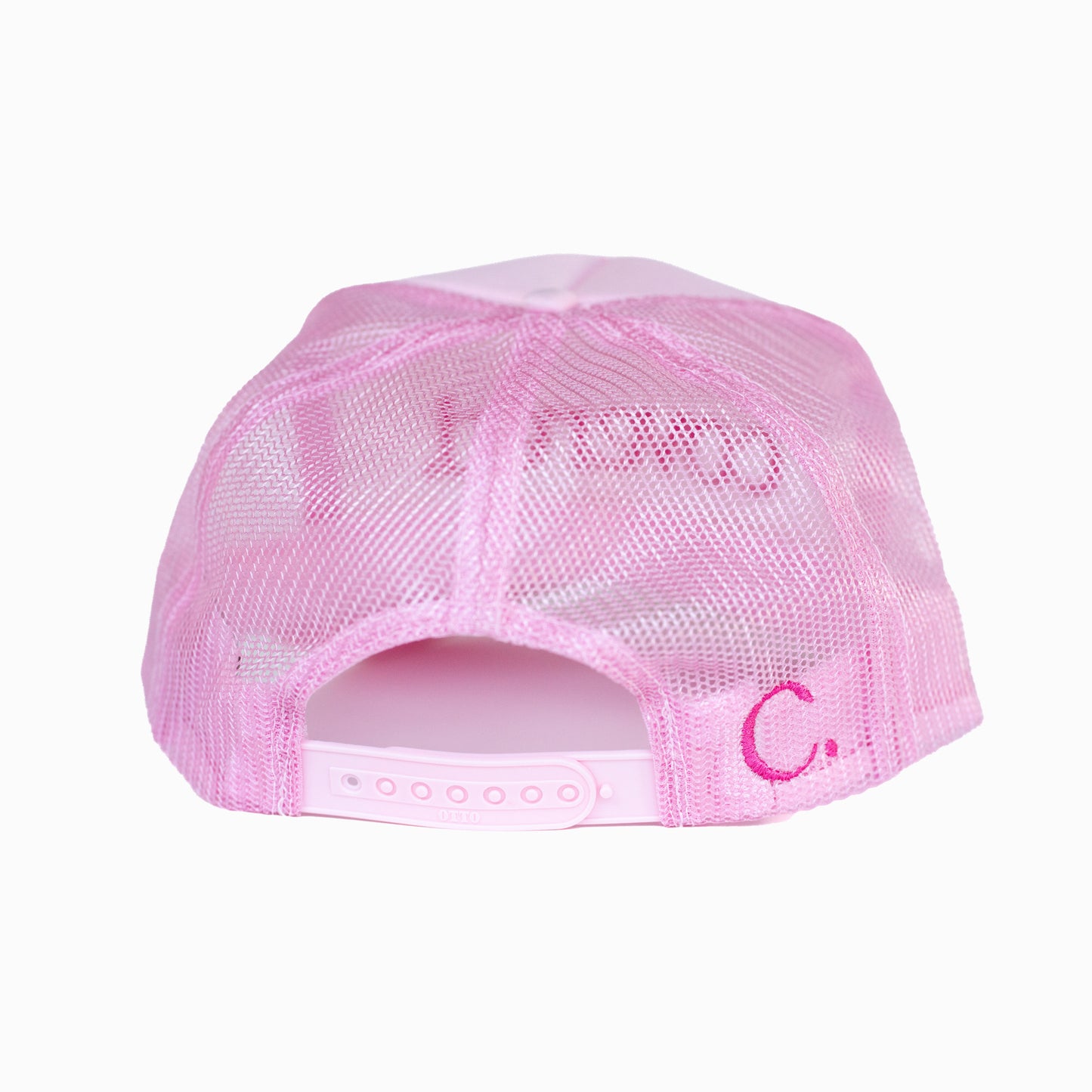 THE TESTIMONY TRUCKER - PINK