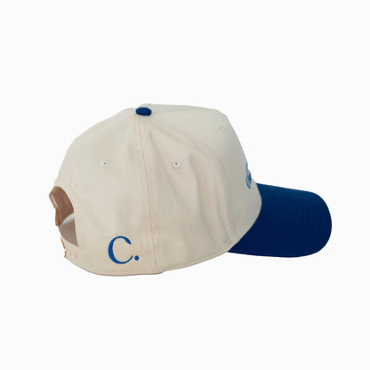 THE TESTIMONY TRUCKER - ROYAL/NATURAL