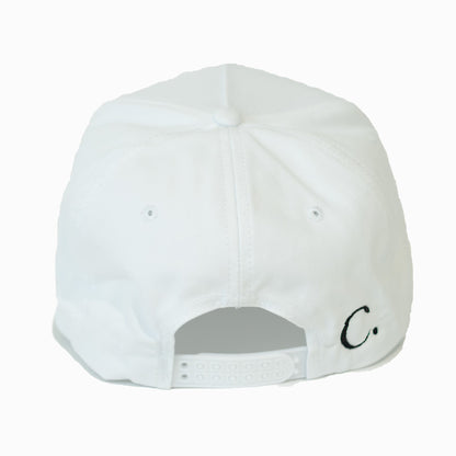THE TESTIMONY TRUCKER - WHITE